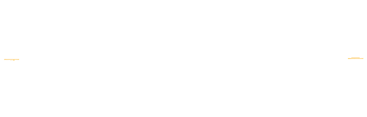 KAPAL288
